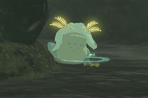 What to do with Bubbul gems and Bubbulfrogs in Zelda: Tears.